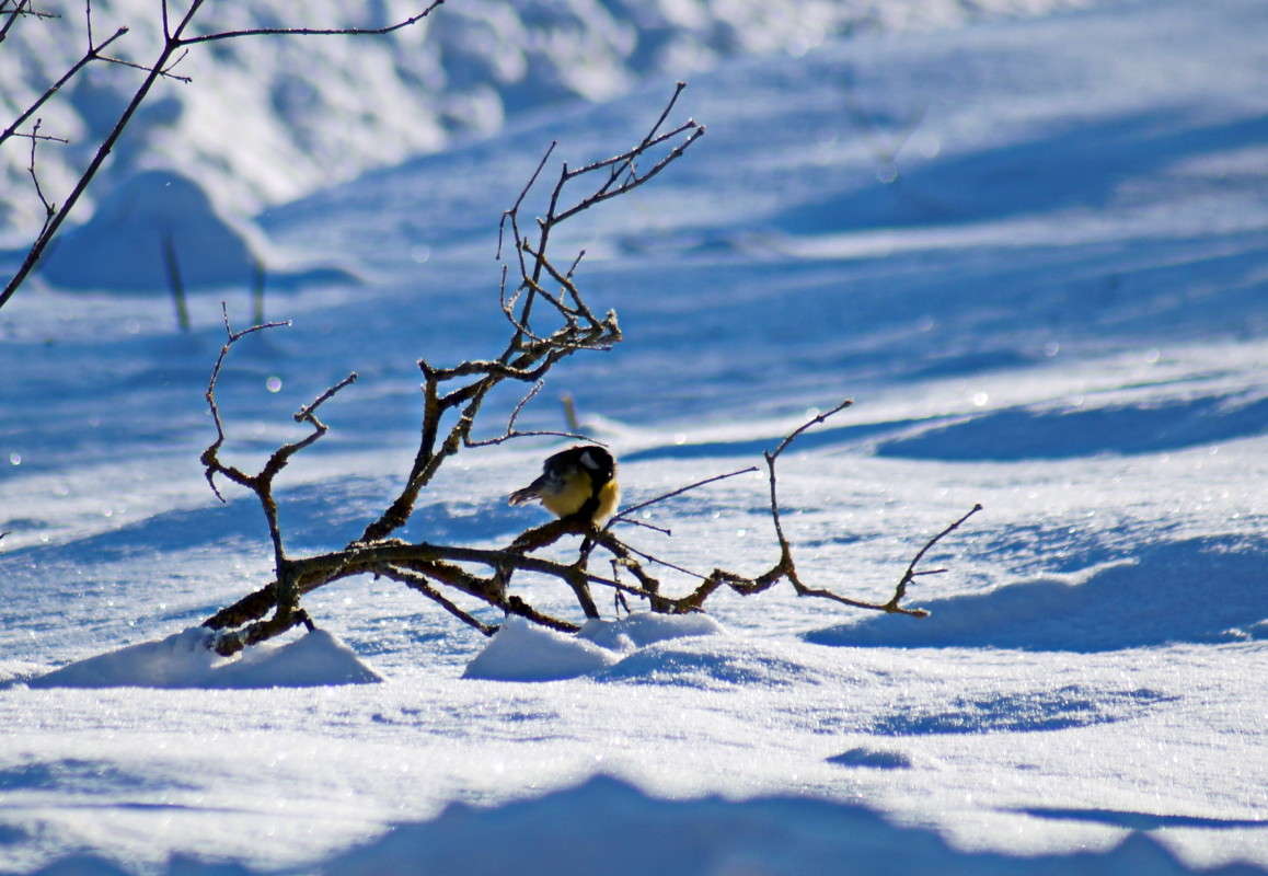 �� �������!!! ����� alex  �� PhotoGeek.ru #�������� ���