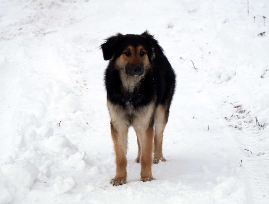 �� ������! ����� alex  �� PhotoGeek.ru #�������� ���