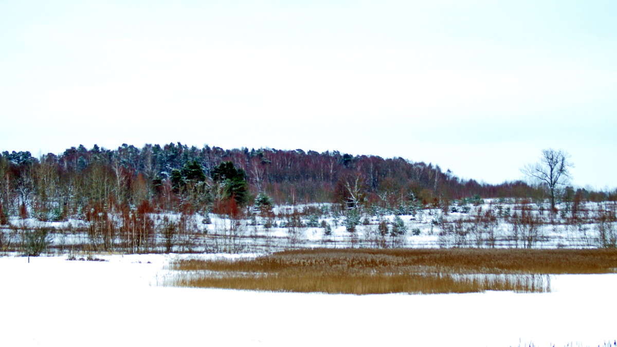 �����.������. ���. ����� alex  �� PhotoGeek.ru #������ ��� �������