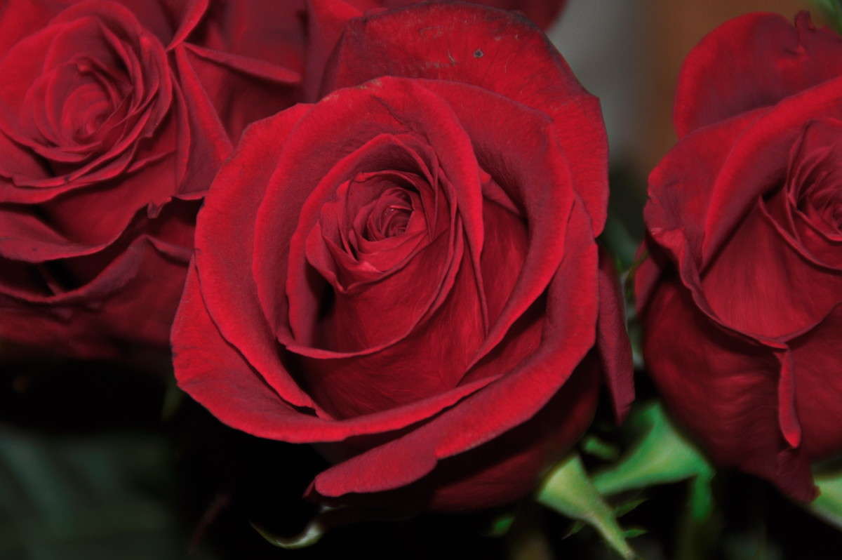 ... ����� alex  �� PhotoGeek.ru #�����