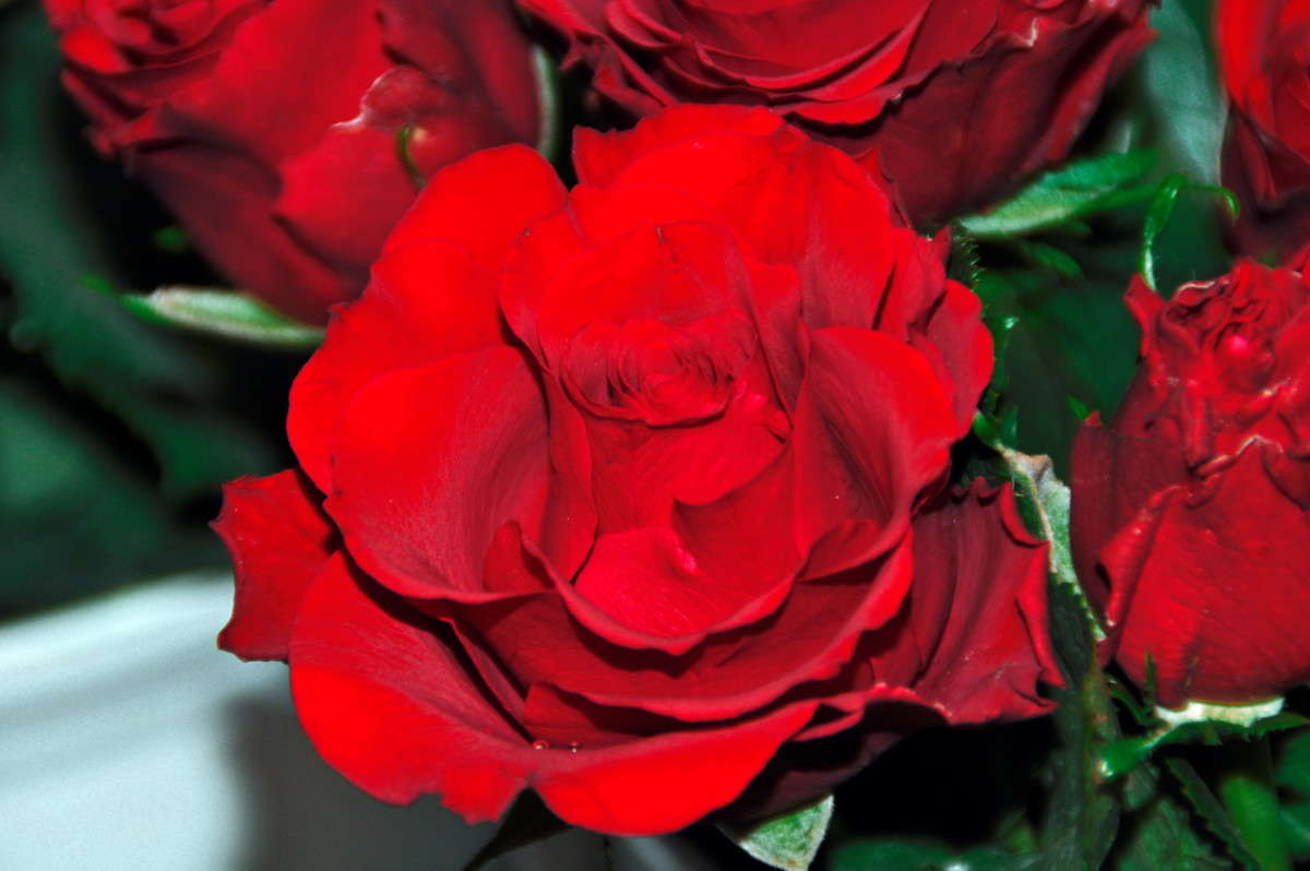 ... ����� alex  �� PhotoGeek.ru #�����