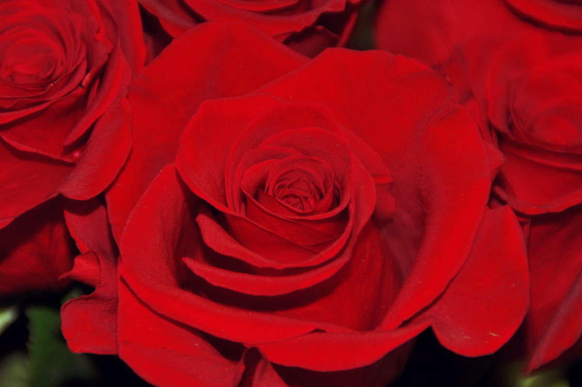 ... ����� alex  �� PhotoGeek.ru #����� #����� ��������������