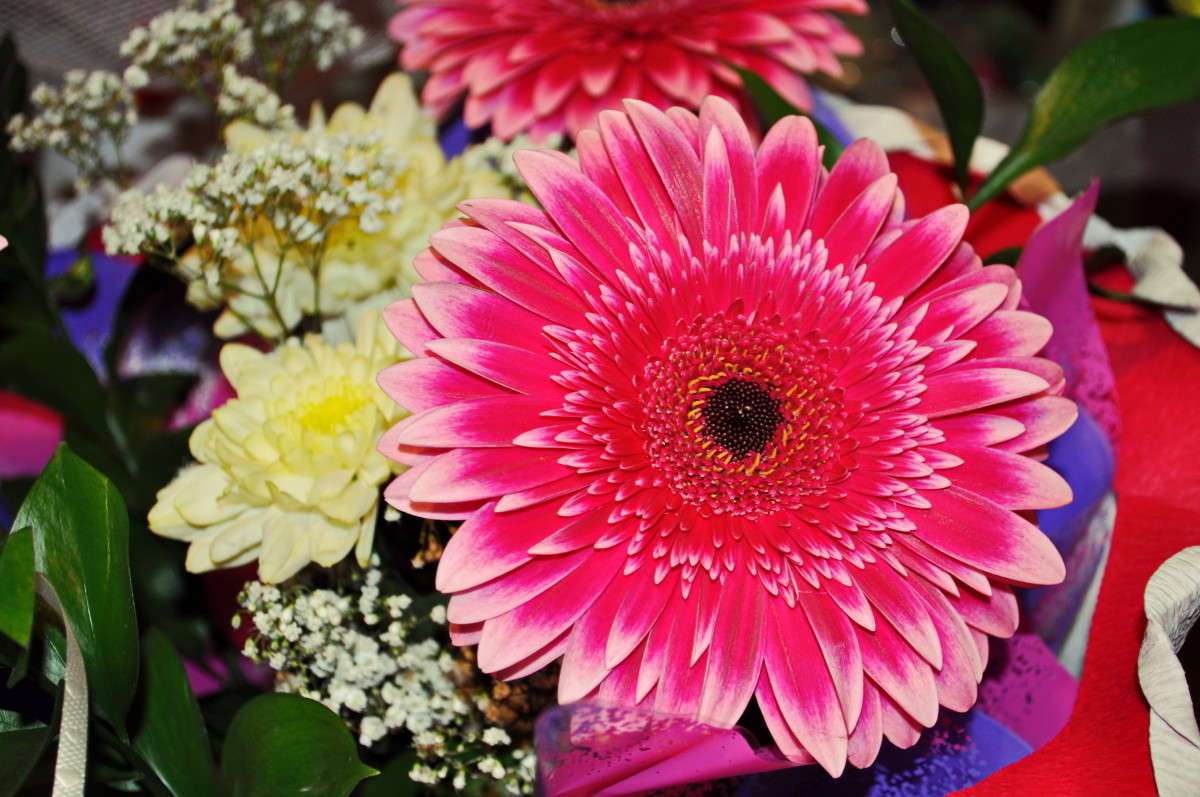 ������� ����� alex  �� PhotoGeek.ru #�����