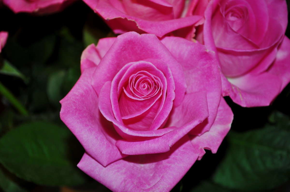 ... ����� alex  �� PhotoGeek.ru #�����