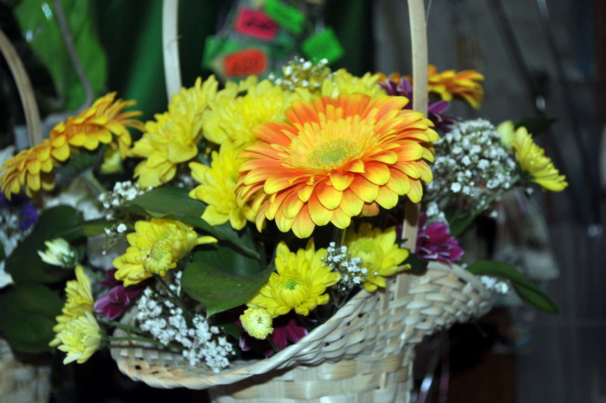 ... ����� alex  �� PhotoGeek.ru #�����