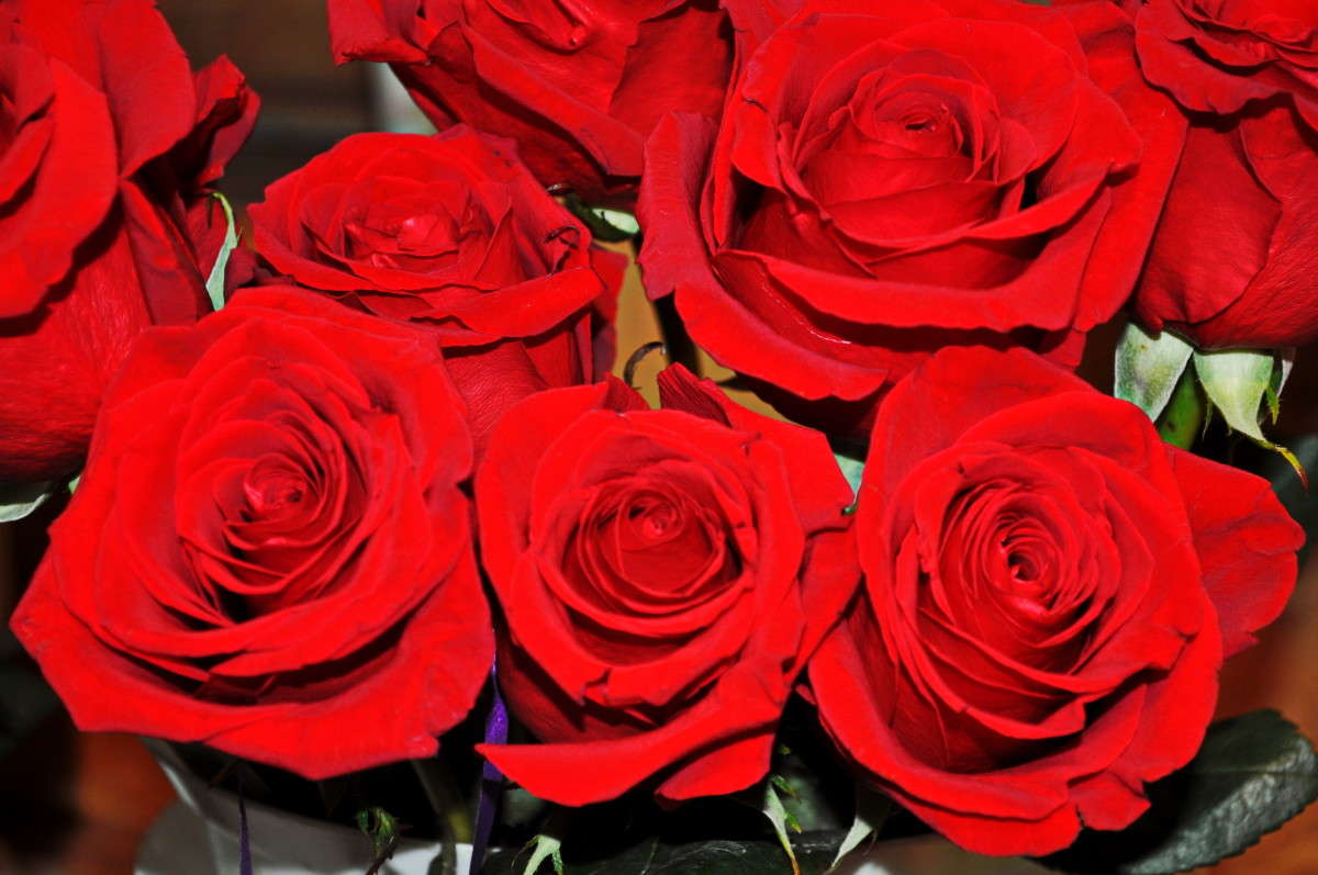 ... ����� alex  �� PhotoGeek.ru #�����