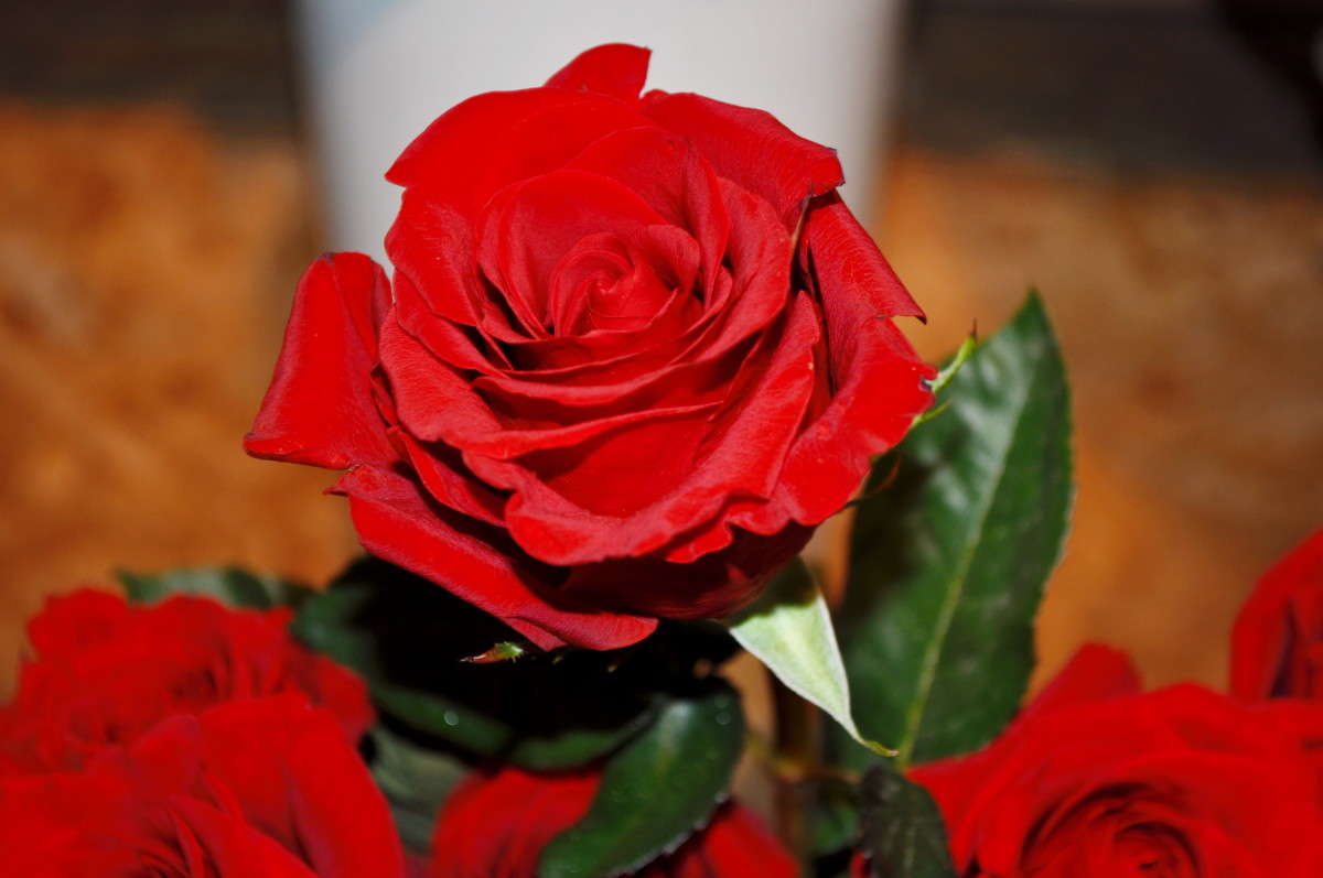 ... ����� alex  �� PhotoGeek.ru #�����