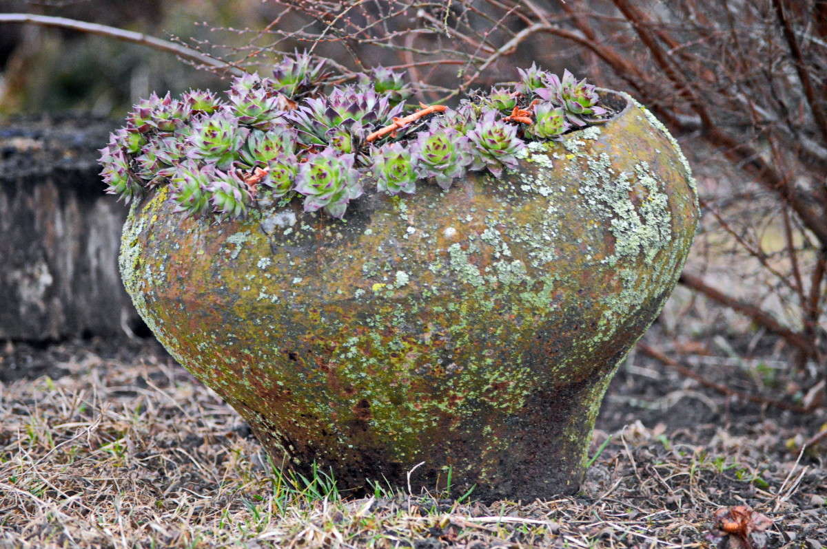 ����� ����� ! ����� alex  �� PhotoGeek.ru #�����