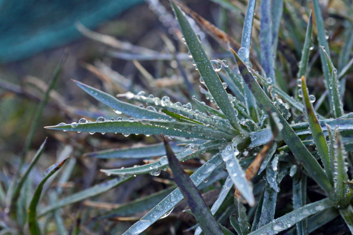 ���� � �������!!! ����� alex  �� PhotoGeek.ru #�����