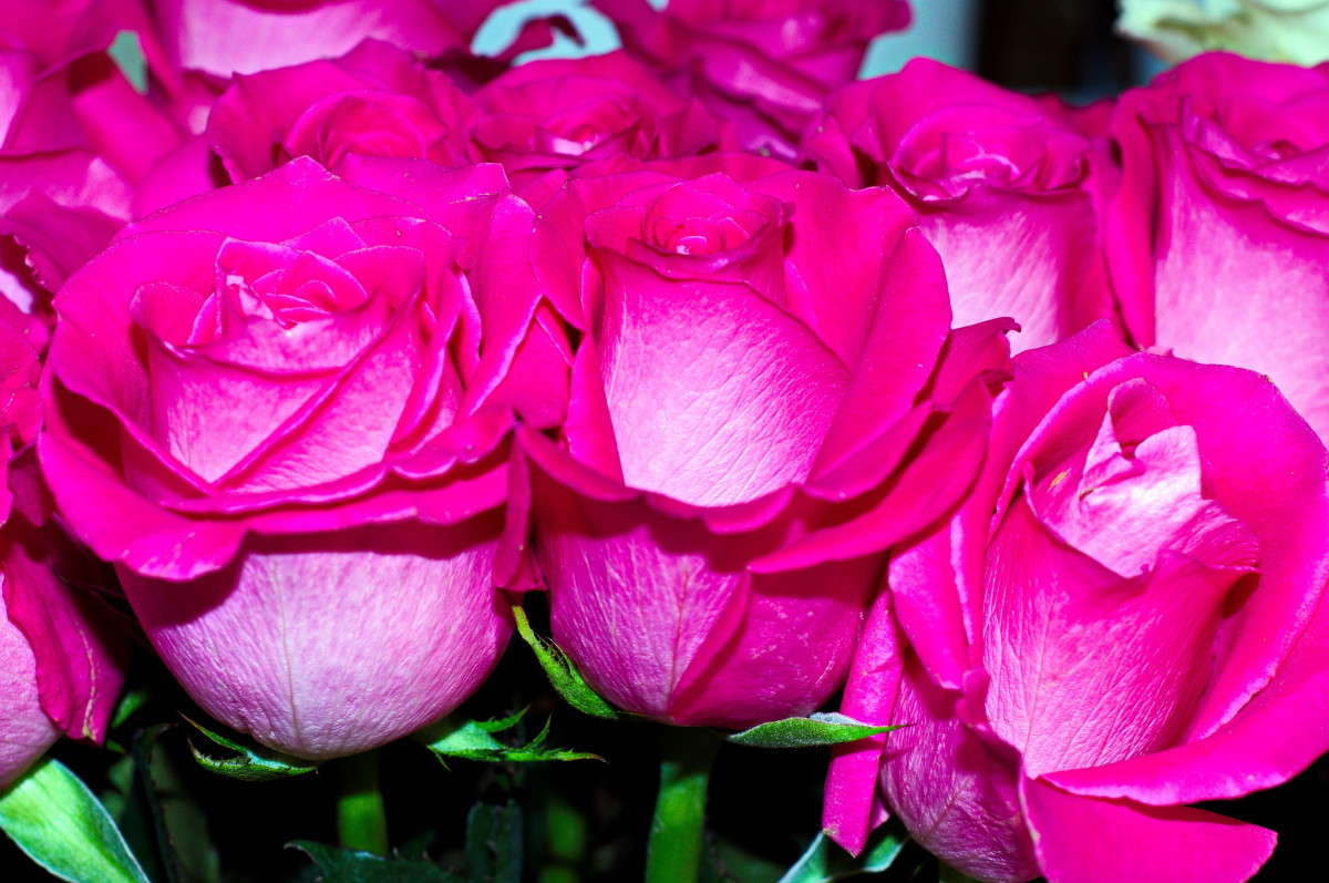 ... ����� alex  �� PhotoGeek.ru #�����