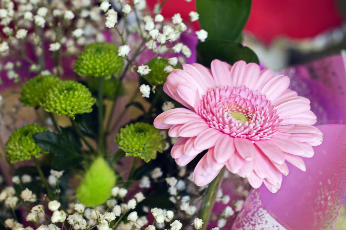 ... ����� alex  �� PhotoGeek.ru #�����