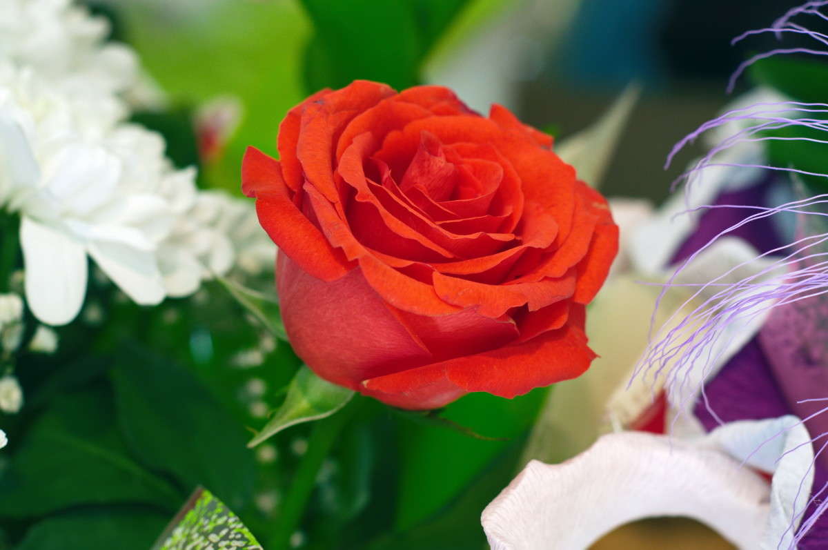 ... ����� alex  �� PhotoGeek.ru #�����