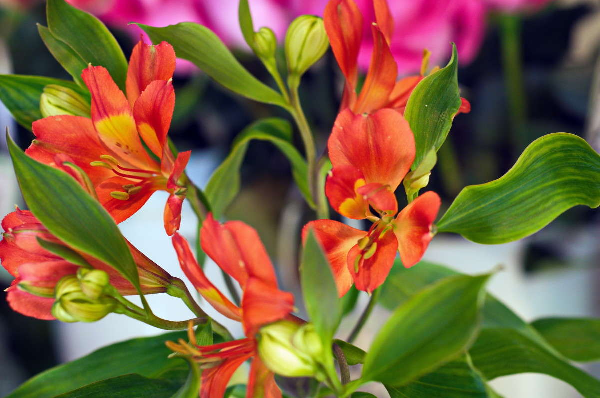 ... ����� alex  �� PhotoGeek.ru #�����