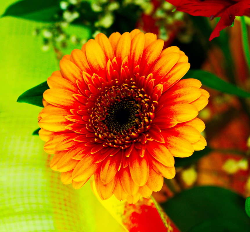 ... ����� alex  �� PhotoGeek.ru #�����