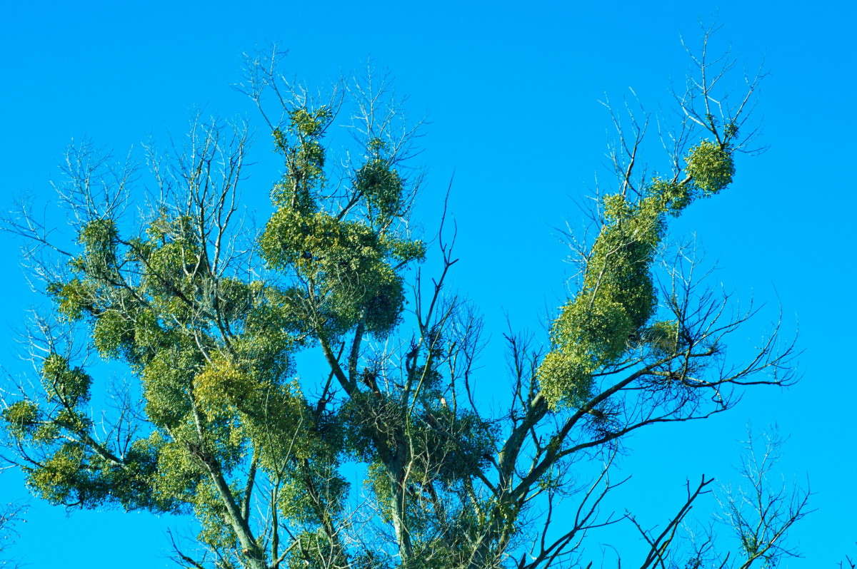 ������! ��������!!! ����� alex  �� PhotoGeek.ru #������ ��� �������