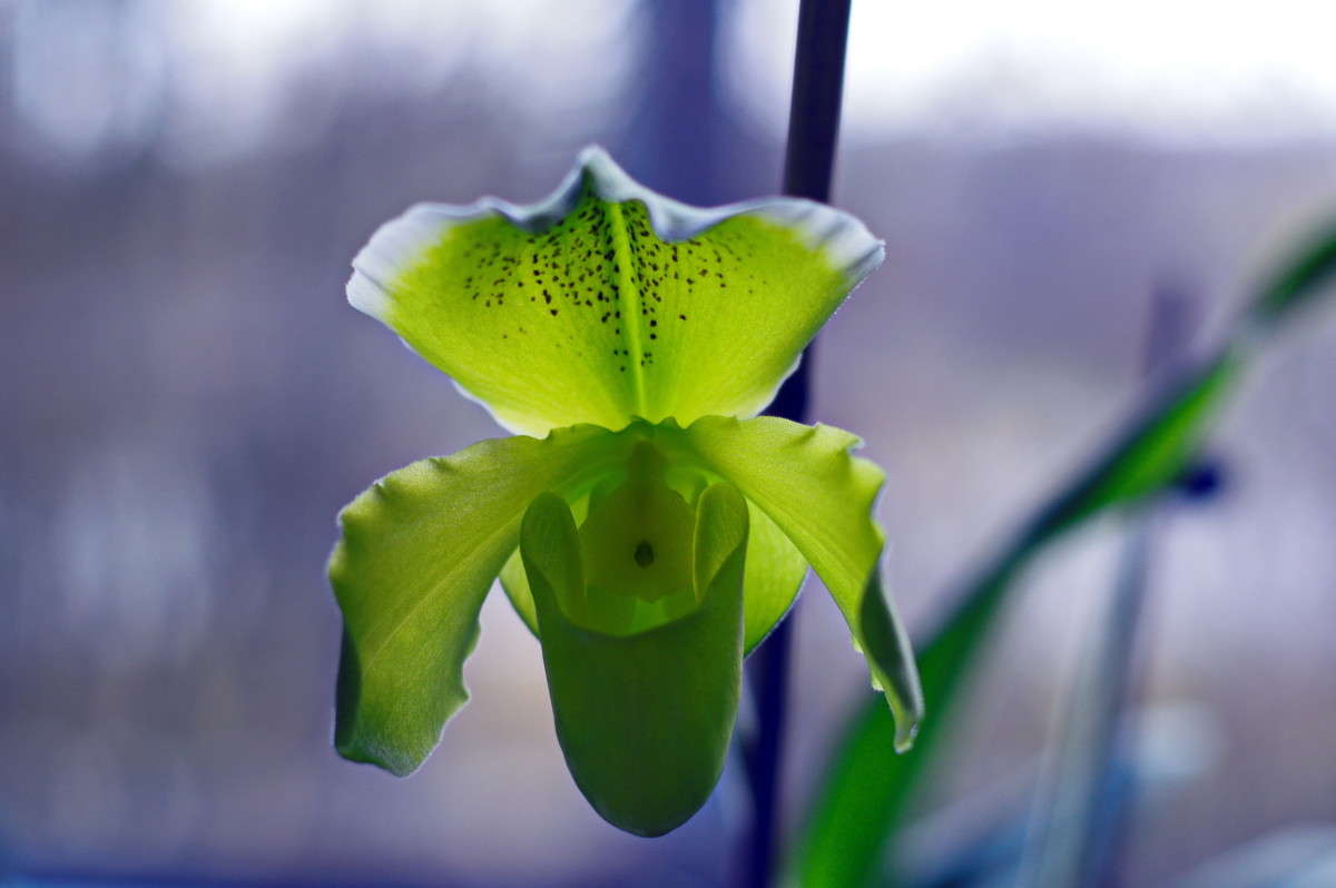 ������� ����� alex  �� PhotoGeek.ru #�����