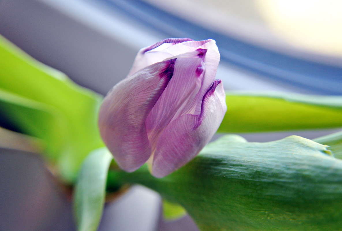 ������� ����� alex  �� PhotoGeek.ru #�����