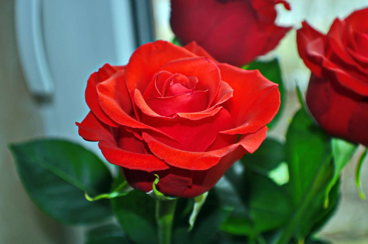 ... ����� alex  �� PhotoGeek.ru #�����