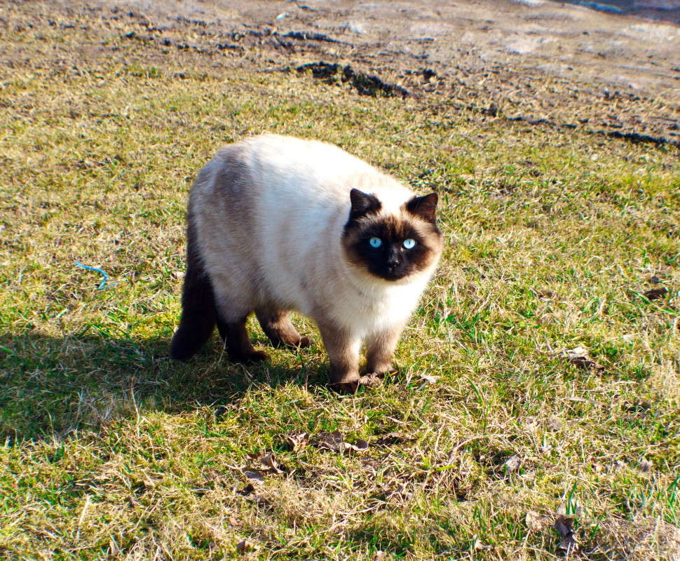 ������������! ����� alex  �� PhotoGeek.ru #�������� ���