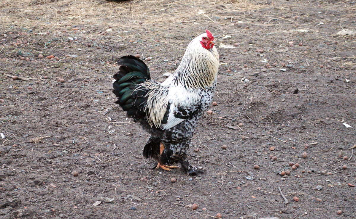 ������ ���������! ����� alex  �� PhotoGeek.ru #�������� ���