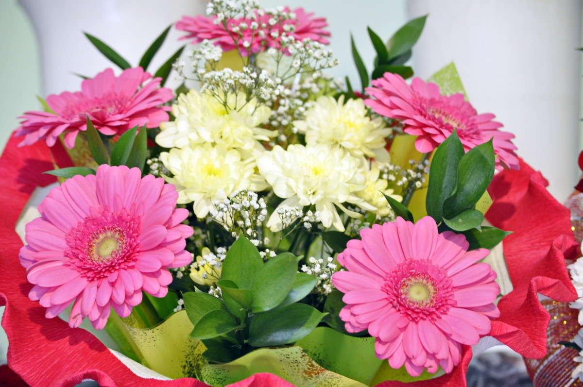 ����� 2 ����� alex  �� PhotoGeek.ru #�����