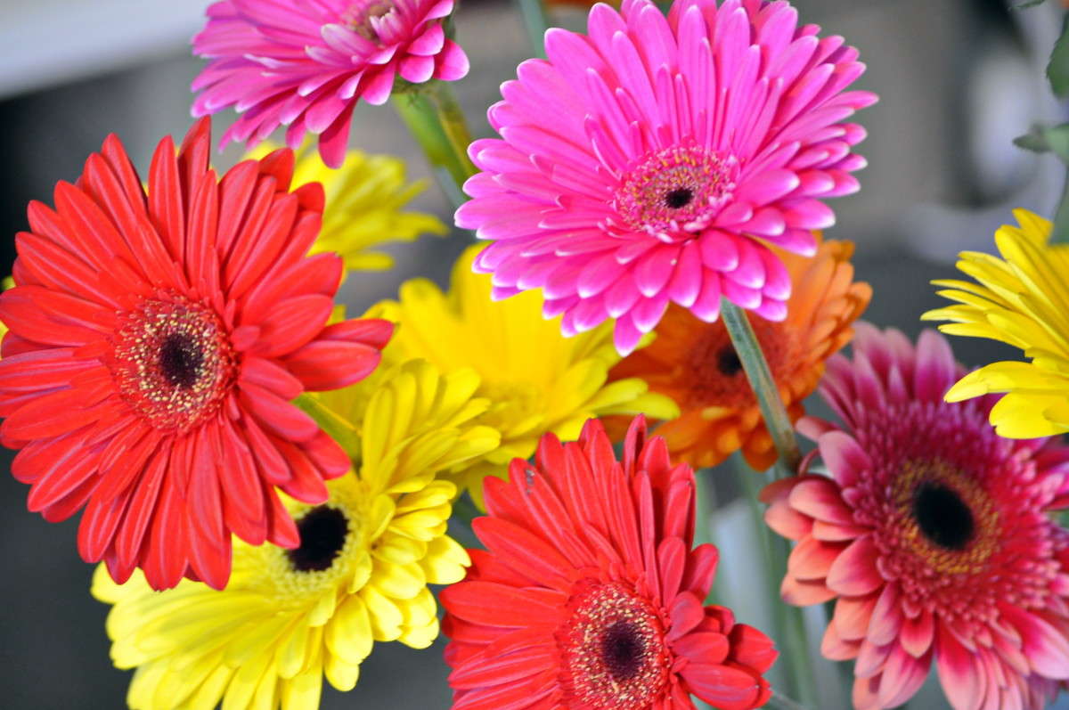 ���������� ����� alex  �� PhotoGeek.ru #�����