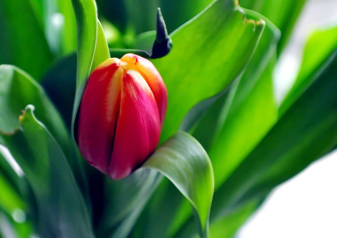 ����� ����� alex  �� PhotoGeek.ru #�����