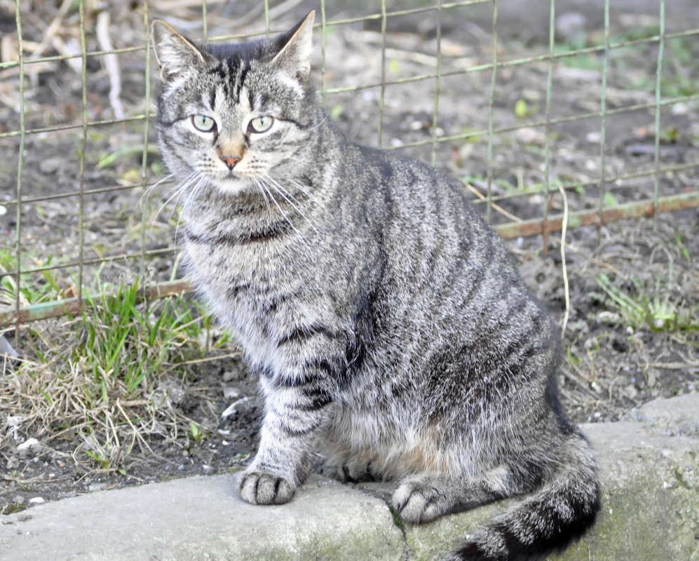 ���� ����� �� ����� ����! ����� alex  �� PhotoGeek.ru #�������� ���