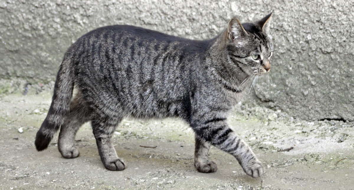 �������!!! ����� alex  �� PhotoGeek.ru #�������� ���