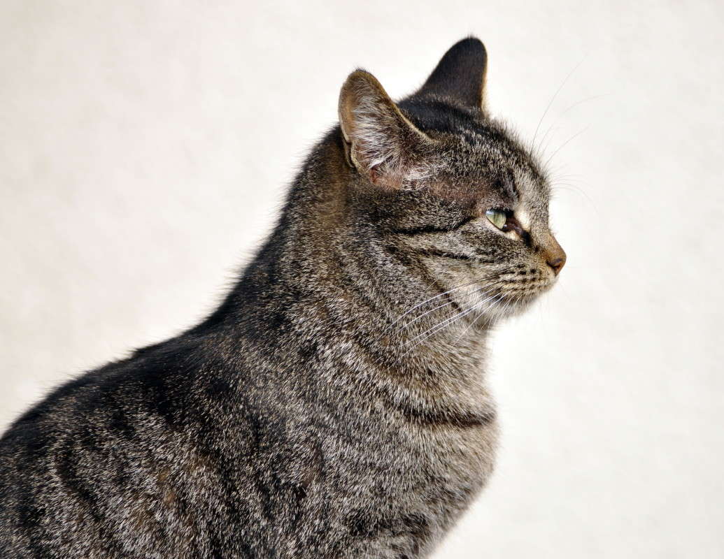 ��������!!! �������! ����� alex  �� PhotoGeek.ru #�������� ���