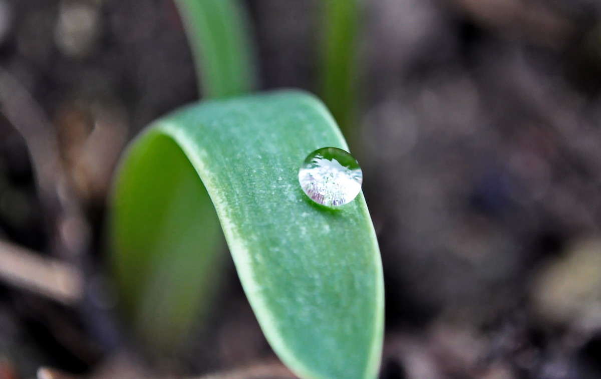 ��������!!! ����� alex  �� PhotoGeek.ru #�����