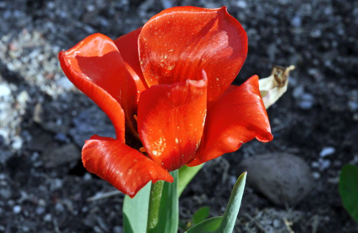 ... ����� alex  �� PhotoGeek.ru #�����