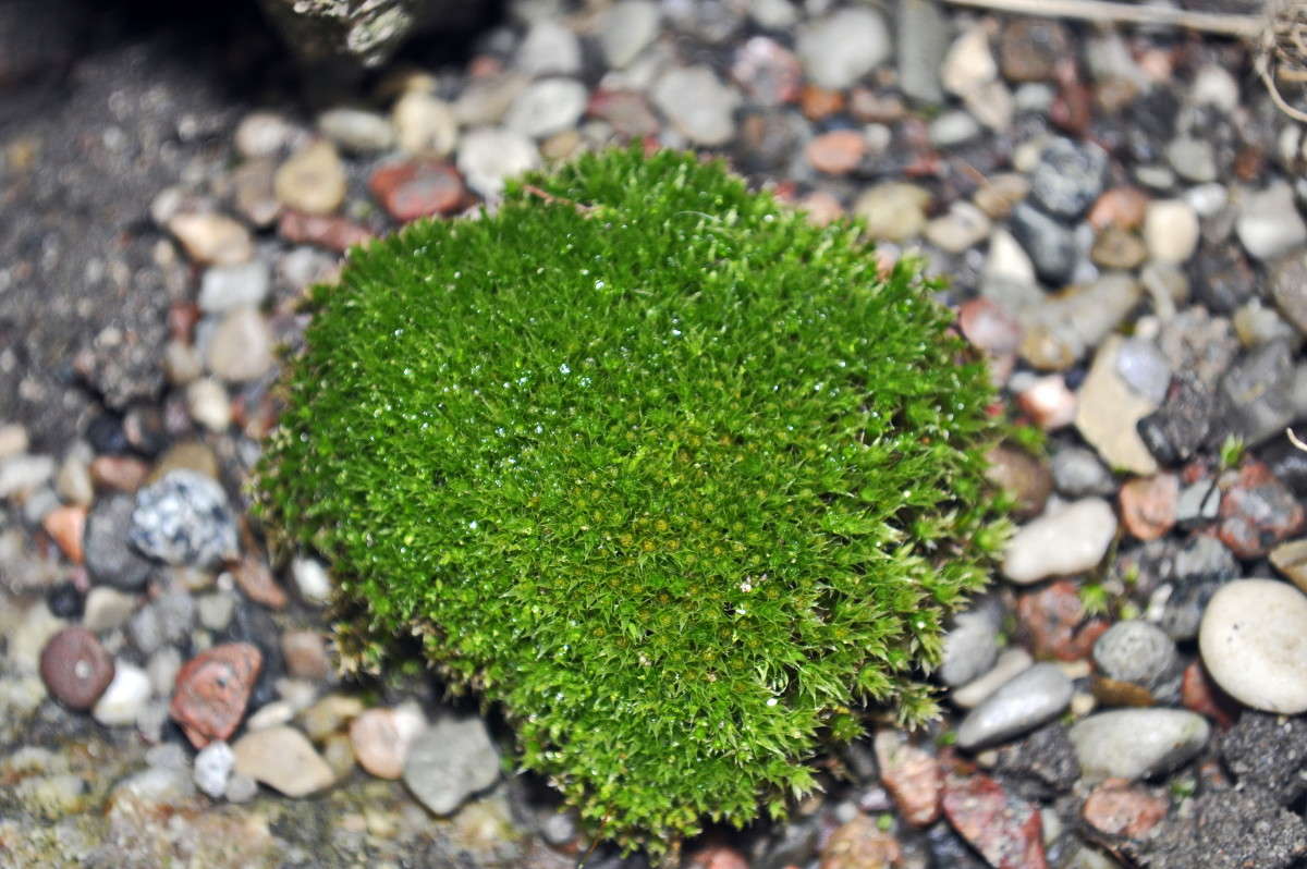 ... ����� alex  �� PhotoGeek.ru #�����