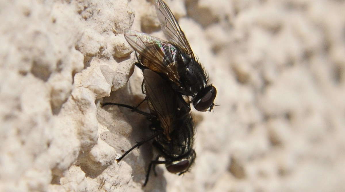 ... ����� alex  �� PhotoGeek.ru #�����