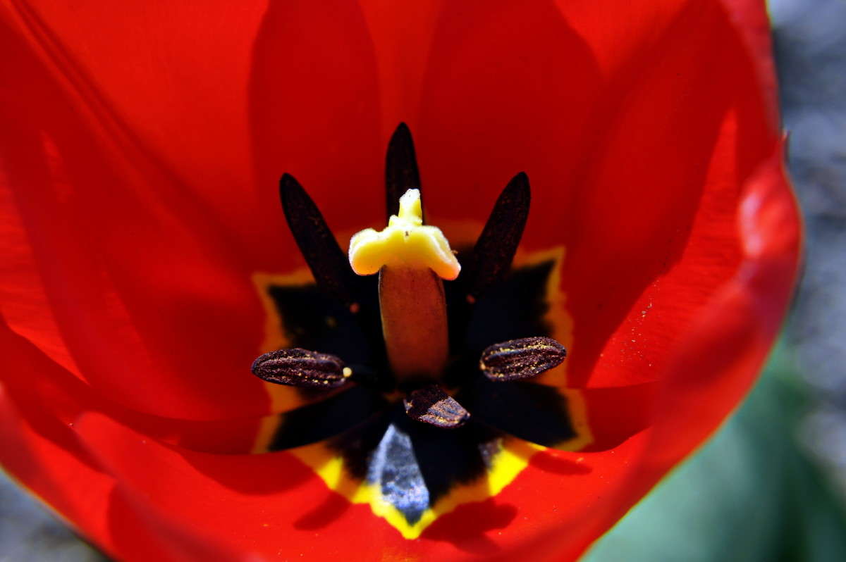 ������� � �����! ����� alex  �� PhotoGeek.ru #�����