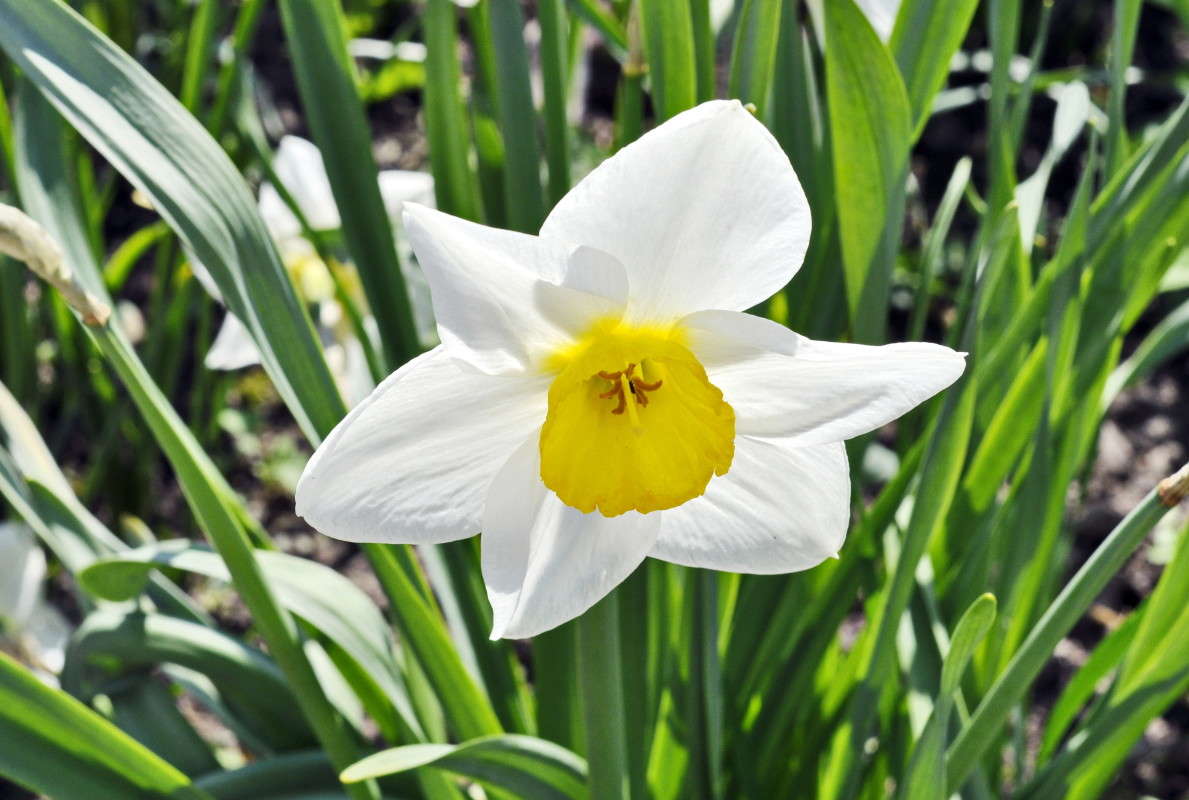 ... ����� alex  �� PhotoGeek.ru #�����