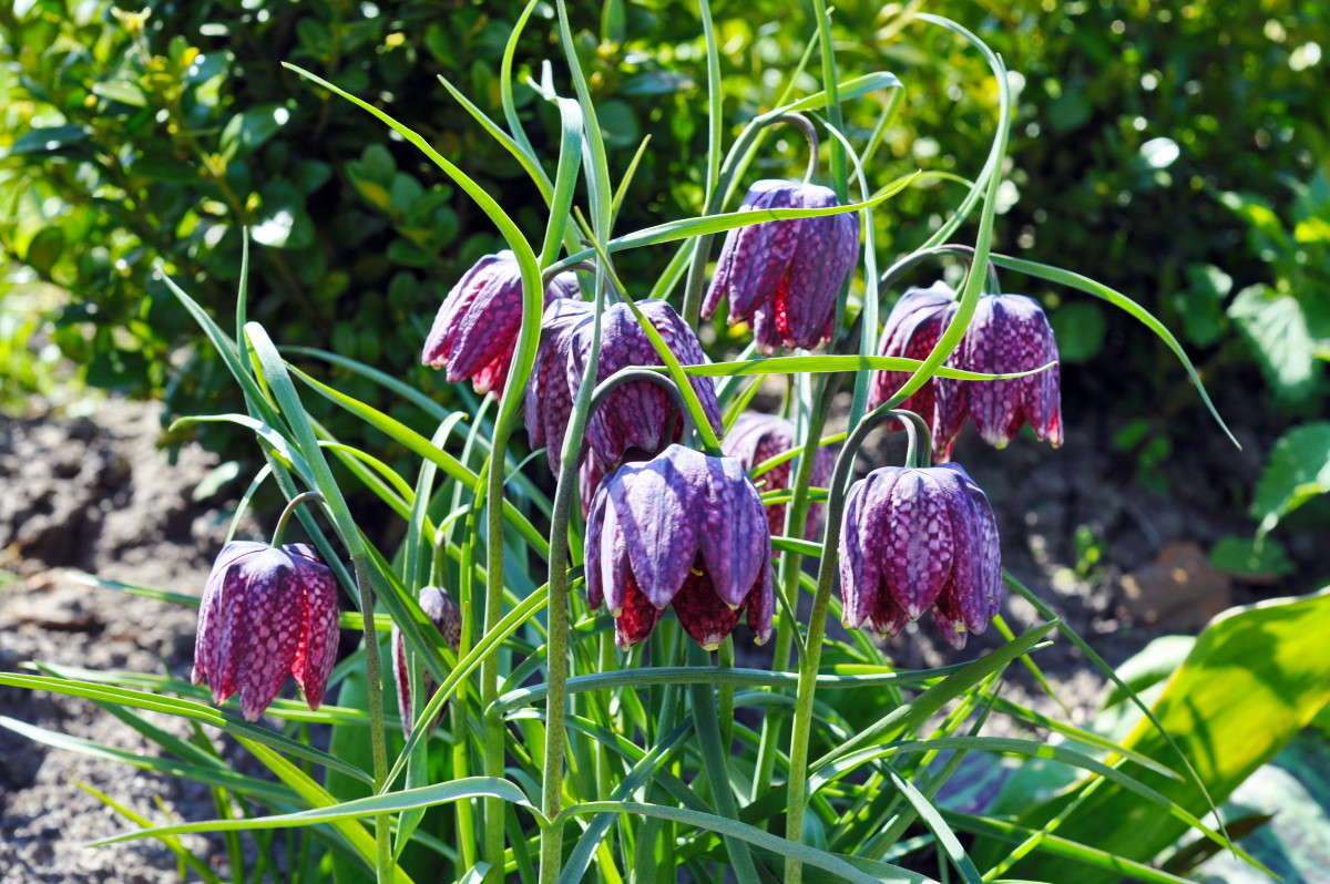 ... ����� alex  �� PhotoGeek.ru #������ ��� �������