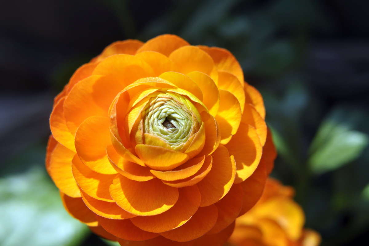 ... ����� alex  �� PhotoGeek.ru #�����