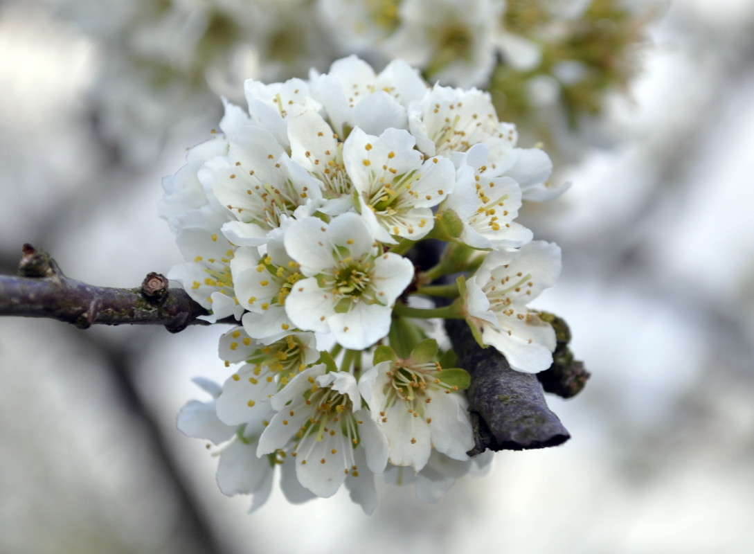 �����!!!! ����� alex  �� PhotoGeek.ru #�����