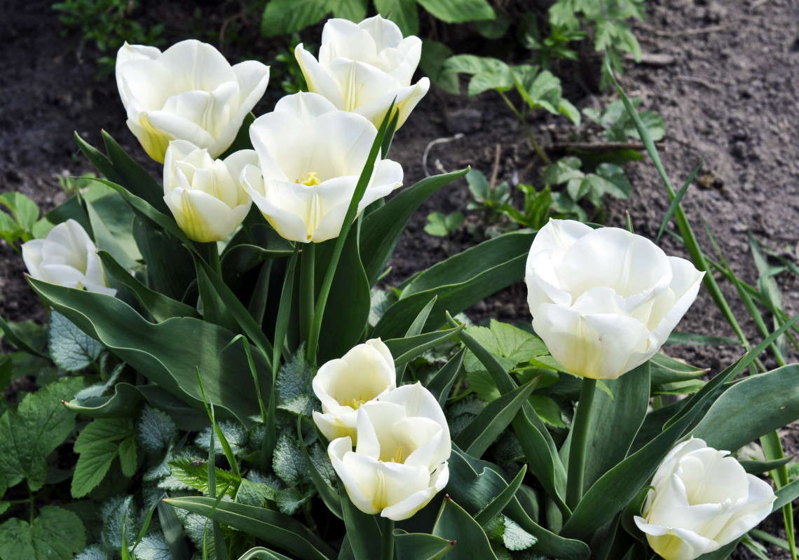 ... ����� alex  �� PhotoGeek.ru #������ ��� �������