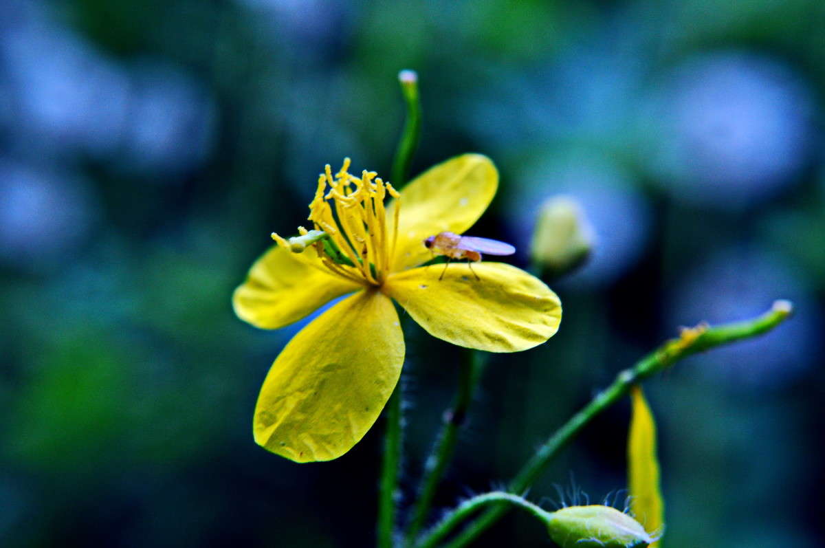 ... ����� alex  �� PhotoGeek.ru #�����