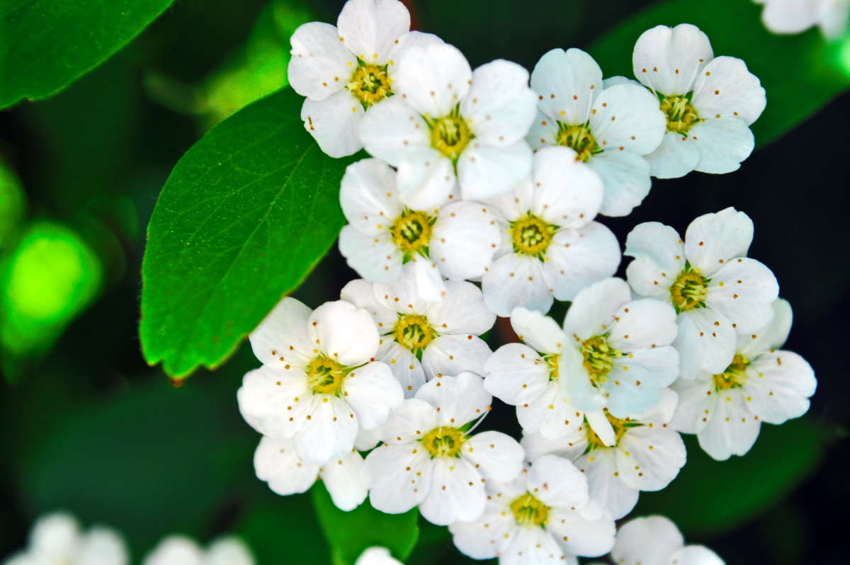 ... ����� alex  �� PhotoGeek.ru #�����