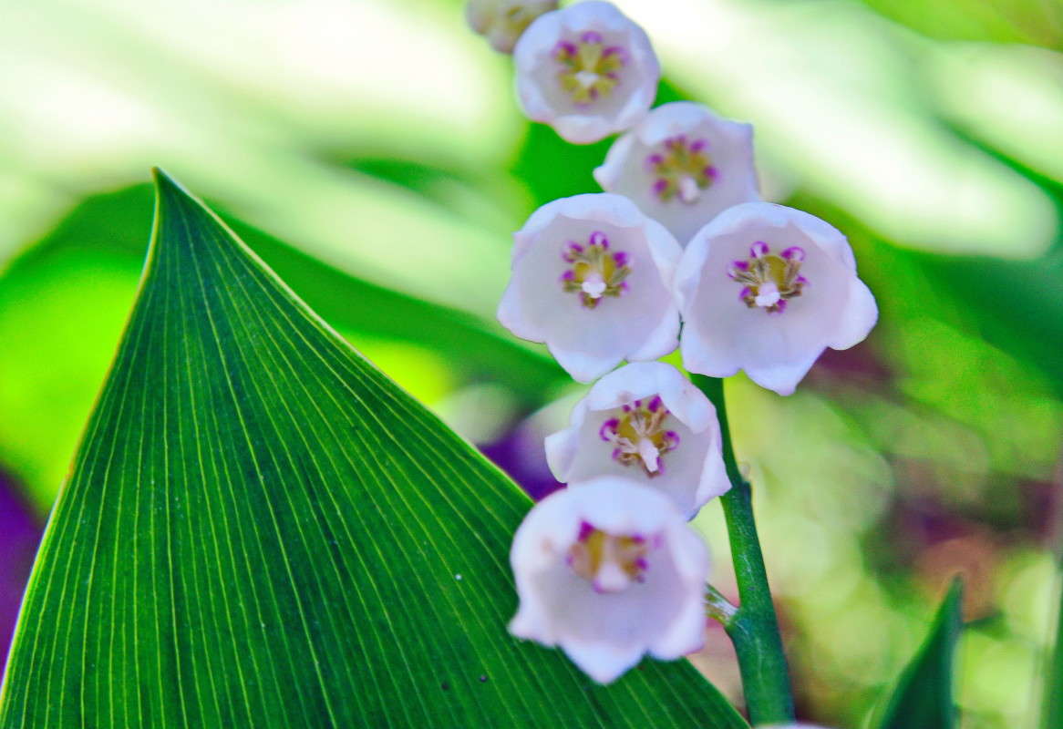 ... ����� alex  �� PhotoGeek.ru #�����