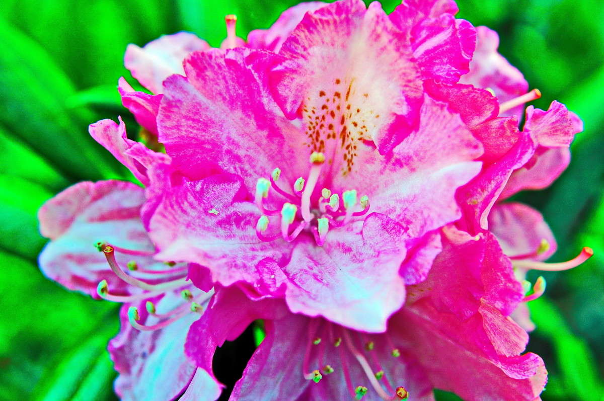 ... ����� alex  �� PhotoGeek.ru #�����