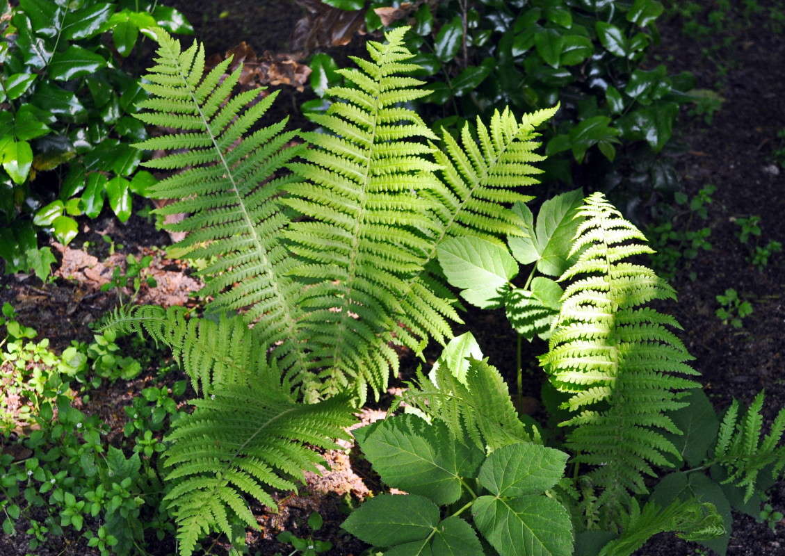 ���������� ����� alex  �� PhotoGeek.ru #������ ��� �������