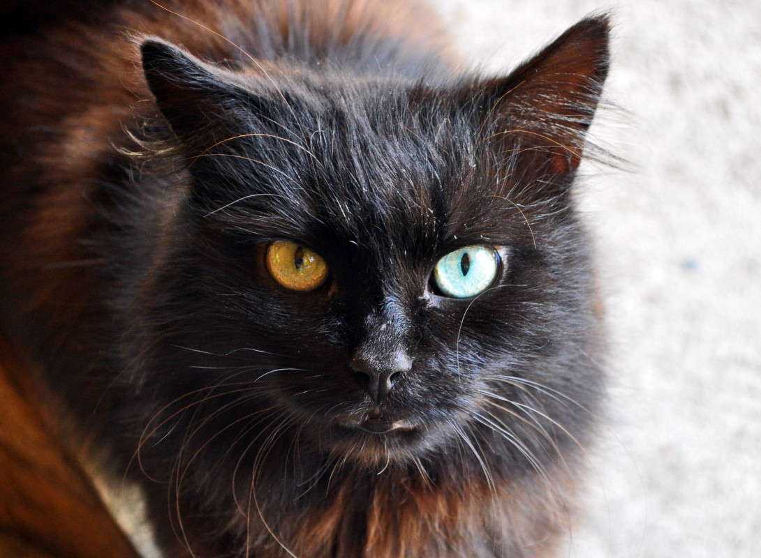 ���������!!! ����� alex  �� PhotoGeek.ru #�������� ���