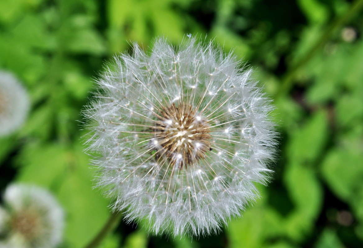 ... ����� alex  �� PhotoGeek.ru #�����