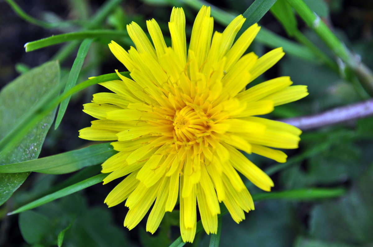 ... ����� alex  �� PhotoGeek.ru #�����