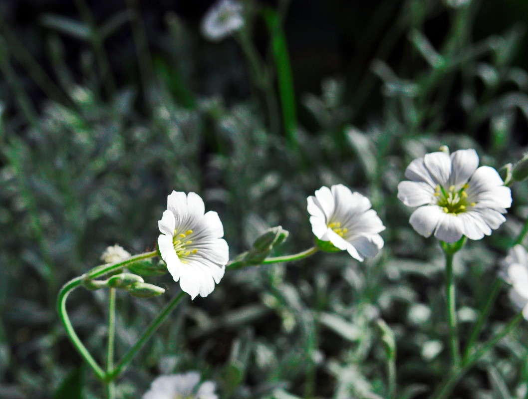 ... ����� alex  �� PhotoGeek.ru #������ ��� �������