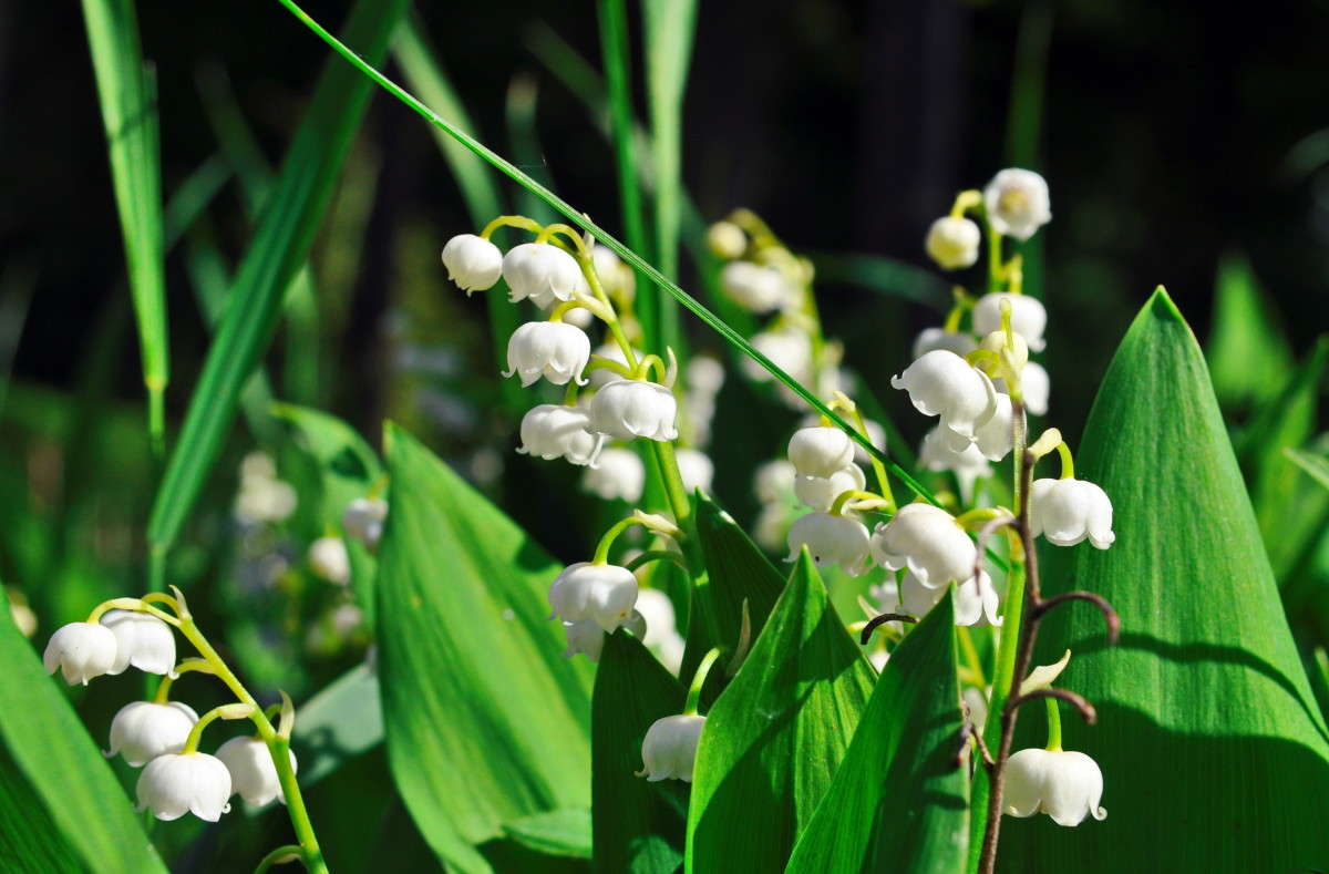 ... ����� alex  �� PhotoGeek.ru #������ ��� �������